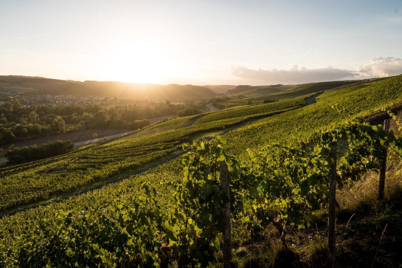 Weingut Und Gastehaus Holger Alt Hotell Monzingen Eksteriør bilde