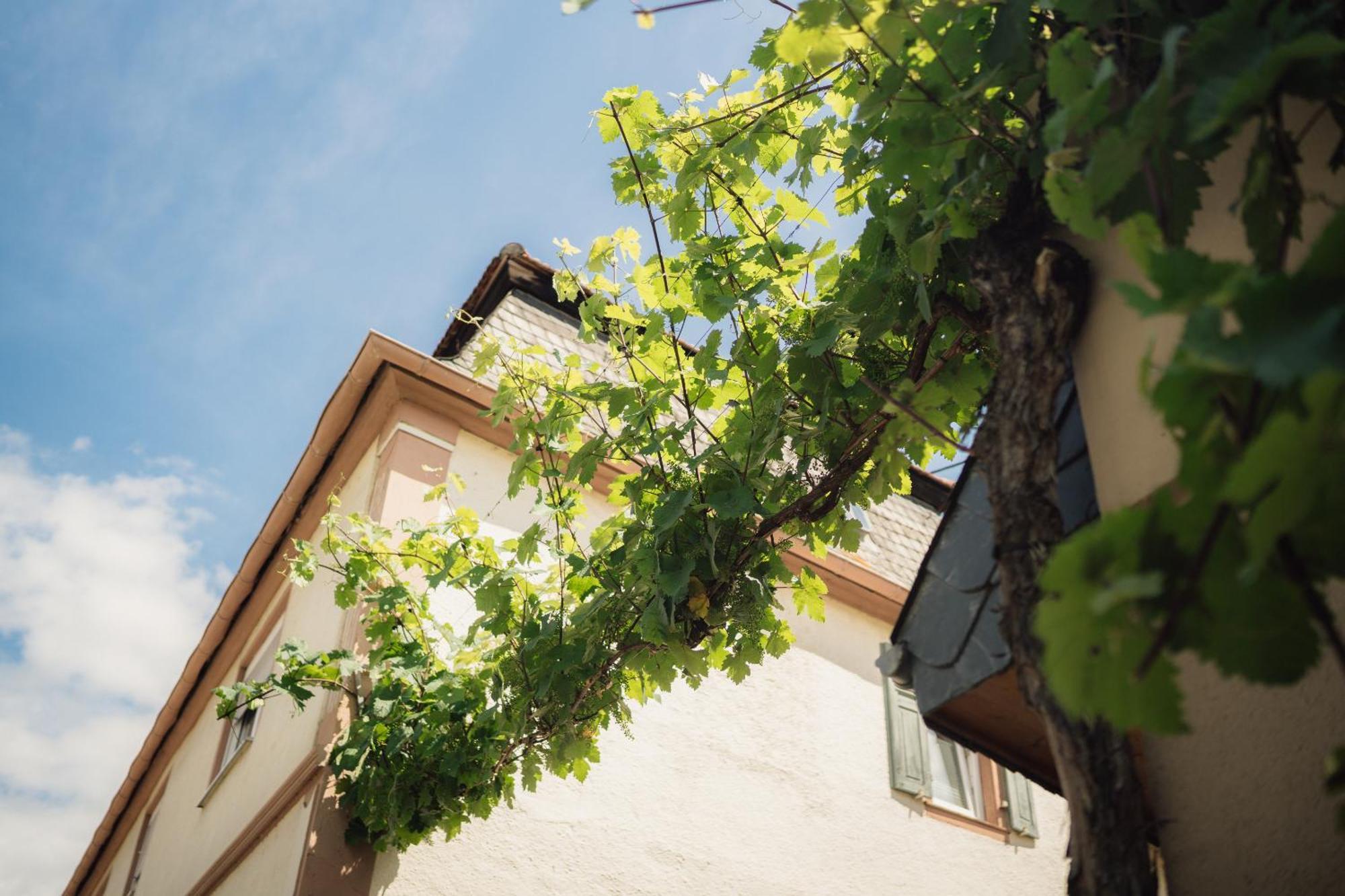 Weingut Und Gaestehaus Holger Alt Monzingen Eksteriør bilde